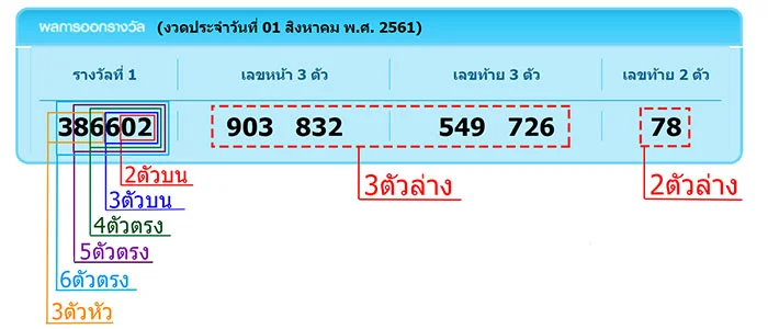 วิธีดูผลหวยรัฐบาล